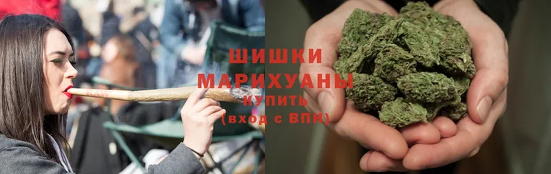 darknet как зайти  Курчатов  МАРИХУАНА THC 21% 